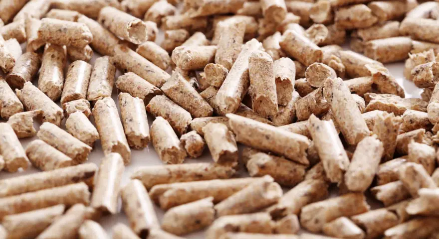 Montón de pellets de madera, un combustible ecológico. Estos pequeños cilindros de serrín comprimido son una alternativa sostenible para la calefacción.