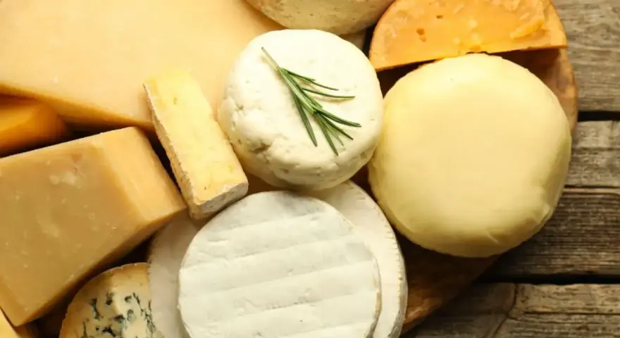 Assortiment de fromages variés, dont un bleu persillé, un camembert et un fromage rond crémeux, parfaits pour un plateau de **sucre de lait** gourmand.