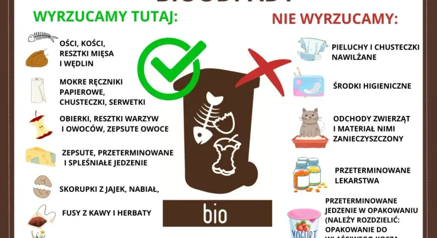 Gdzie wyrzucać resztki jedzenia? Do bio trafiają obierki, resztki warzyw i owoców, fusy, skorupki jaj. Nie wyrzucaj pieluch, środków higienicznych ani odchodów zwierząt.