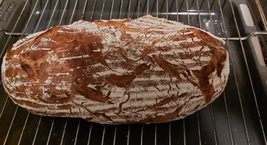 Frisch gebackenes Sauerteigbrot mit knuspriger Kruste auf einem Rost. Perfekt, um Hefe durch Sauerteig zu ersetzen!