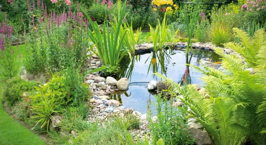 Ein idyllischer kleiner gartenteich ideen mit üppiger Bepflanzung, bunten Blumen und Fischen.