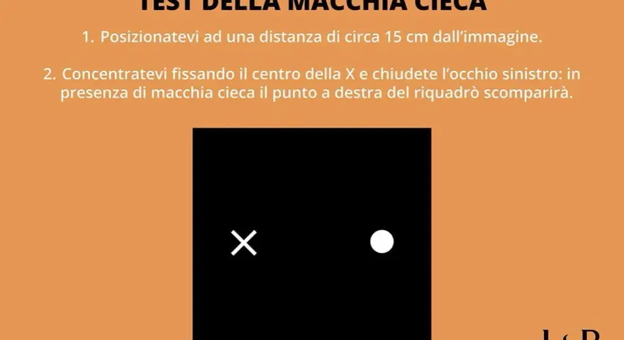 Test della macchia cieca: fissa la X, chiudi l'occhio sinistro. Il punto a destra del riquadro nero potrebbe scomparire, come se fosse vedere ombrato da un occhio.