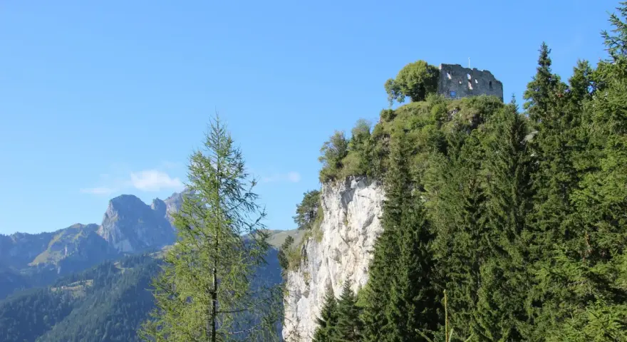 Burgruine Falkenstein thront auf Felsklippe, umgeben von Nadelbäumen. Perfekt für eine Wanderung mit Bergblick.