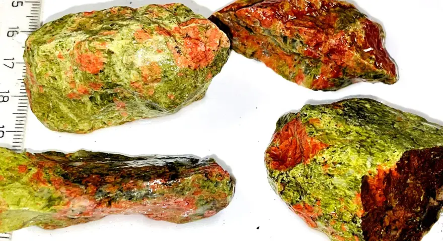 Quattro pezzi grezzi di unakite, con le loro vibranti sfumature verdi e rosse, mostrano le loro proprietà naturali.