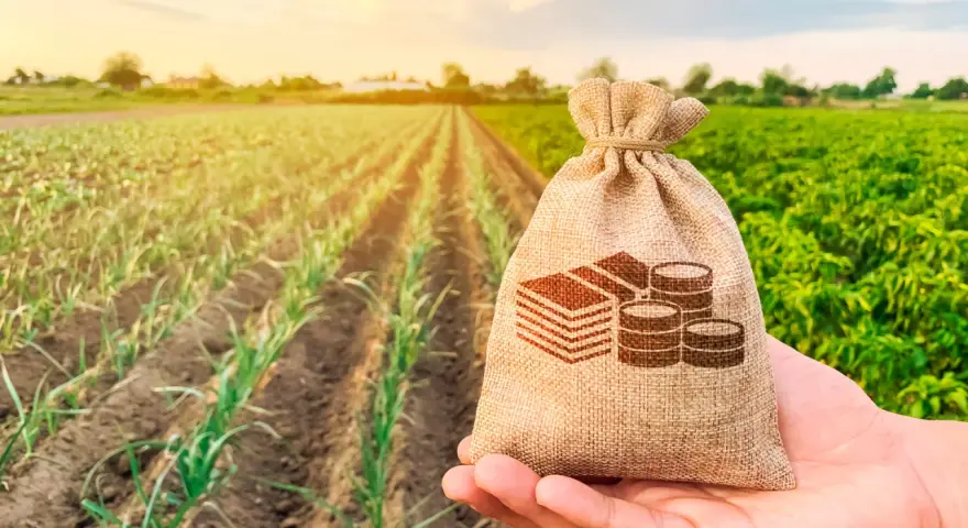 Bolsa de dinero en mano sobre campo de cultivo. Ideal para cotizar régimen agrario sin trabajar y planificar tu futuro.