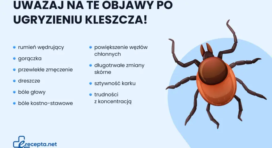 Uważaj na objawy po ugryzieniu kleszcza: rumień, gorączkę, bóle głowy, zmęczenie, sztywność karku.