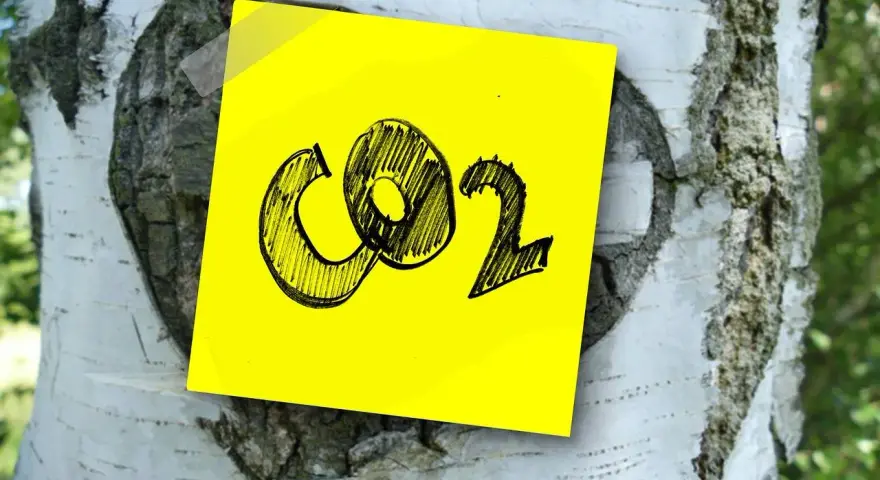 Żółta kartka z napisem CO2 przyklejona do kory brzozy. Symbolizuje wpływ emisji na zmiany klimatyczne.
