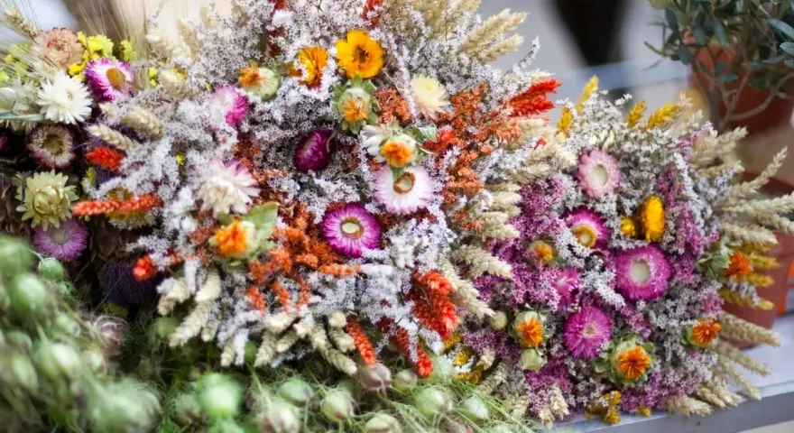 Bunte Sträuße mit getrockneten Blumen und Gräsern, die an einen Sommer voller blumen trocknen erinnern.