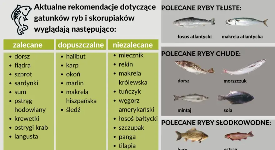 Jakie ryby morskie mają najmniej ości? Wybierz bezpieczne!
