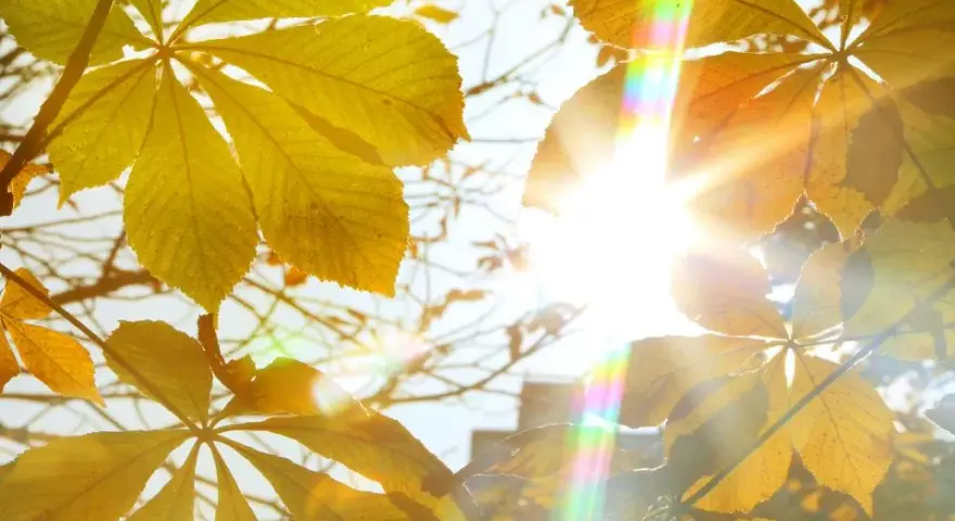 Vitamin D Sonne: So wichtig ist die richtige Sonnenexposition für Ihre Gesundheit