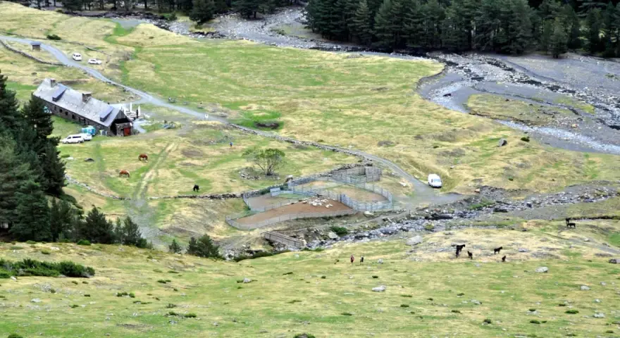 Vue aérienne du hospice du Rioumajou, avec ses bâtiments, des chevaux et des moutons dans des enclos, au milieu d'une vallée verdoyante bordée de pins.