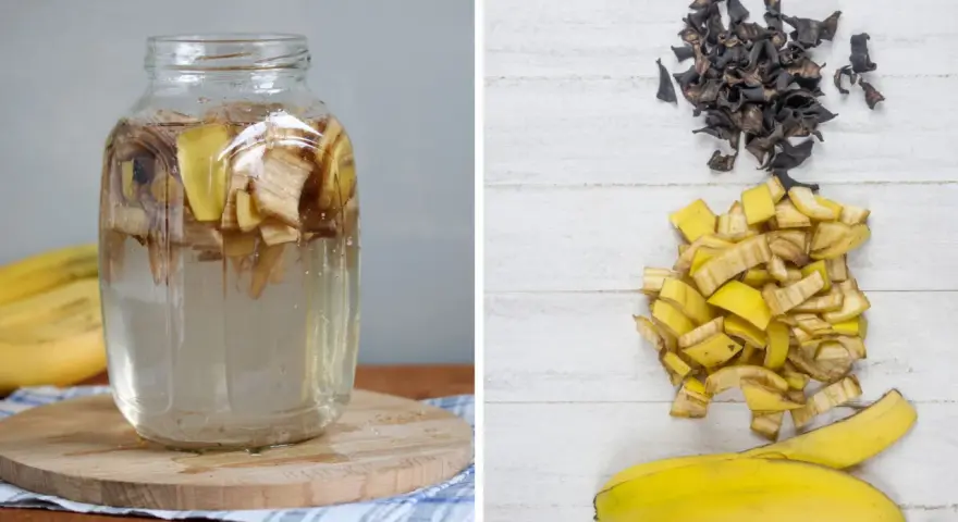 Słoik z wodą i skórkami bananów, obok pokrojone skórki i wysuszone resztki. Naturalny nawóz ze skórki banana gotowy do użycia.