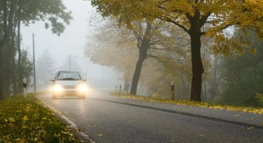 Auto fährt durch dichten Nebel, wann Nebelscheinwerfer unerlässlich sind. Herbstlaub liegt am Straßenrand.