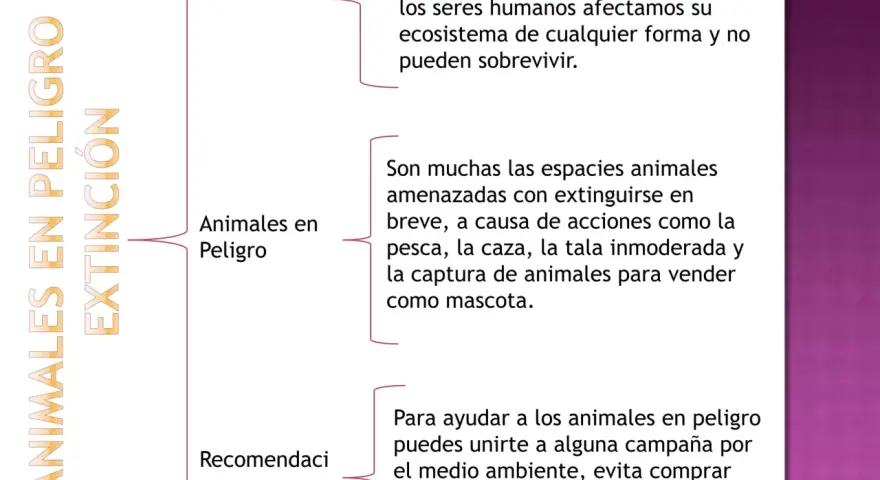 Mapa mental sobre animales en peligro de extinción, sus causas y soluciones.