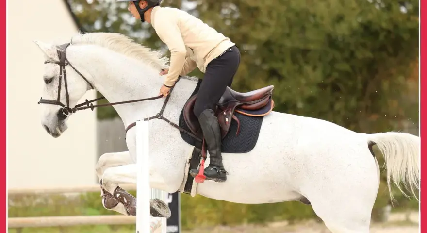 Cavalier et cheval blanc en plein saut d'obstacles, un exercice de musculation pour le cheval.