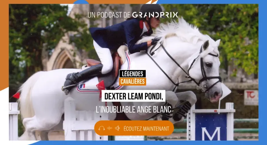 Un cavalier et son cheval blanc, Dexter Leam Pondi, franchissent un obstacle. Podcast "Légendes Cavaliers".