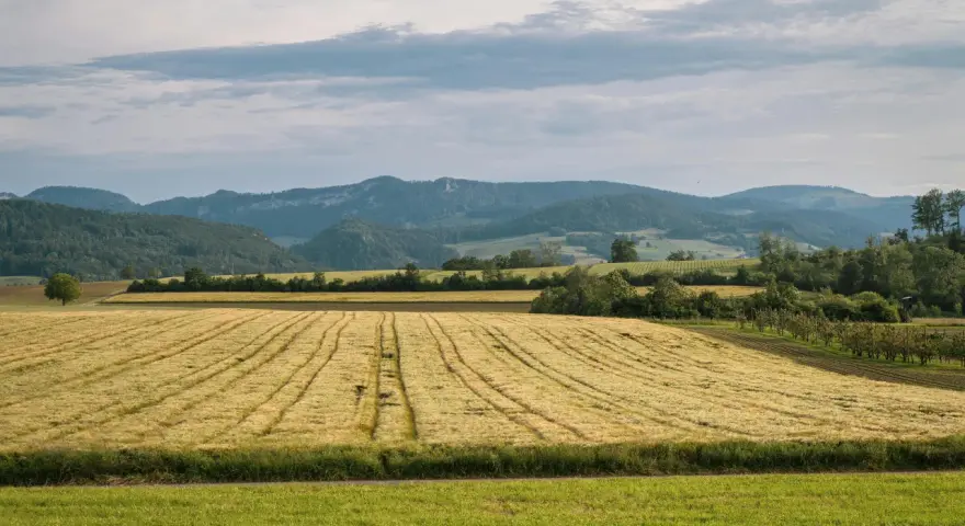 Nowoczesne zarządzanie danymi: kalkulator emisji CO₂ w gospodarstwie jako fundament strategii środowiskowej