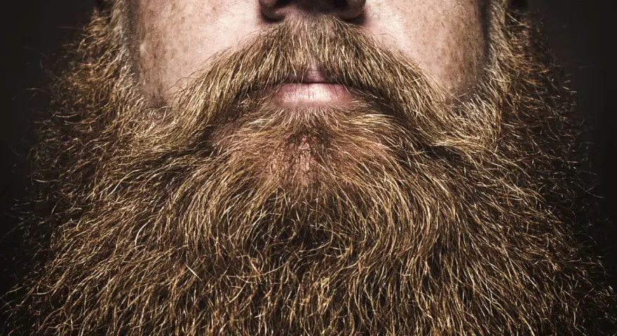 Primer plano de unas barbas hipster voluminosas y doradas, con un bigote tupido sobre unos labios entreabiertos.