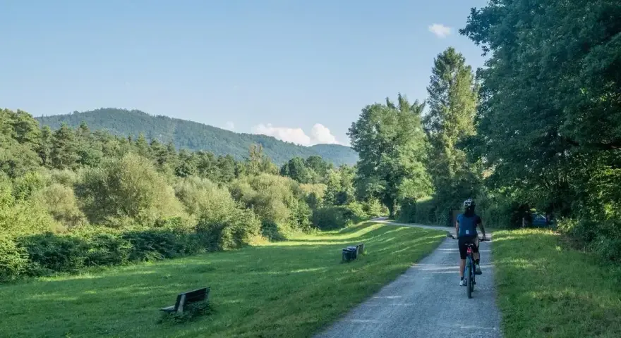 Osoba na rowerze przemierza malowniczą trasę rowerową Skoczów Wisła, otoczoną zielenią i wzgórzami.