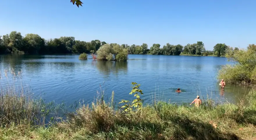 Sonniger Tag am Biebesheim See. Menschen genießen das kühle Wasser, umgeben von üppiger Vegetation und klarem Himmel.