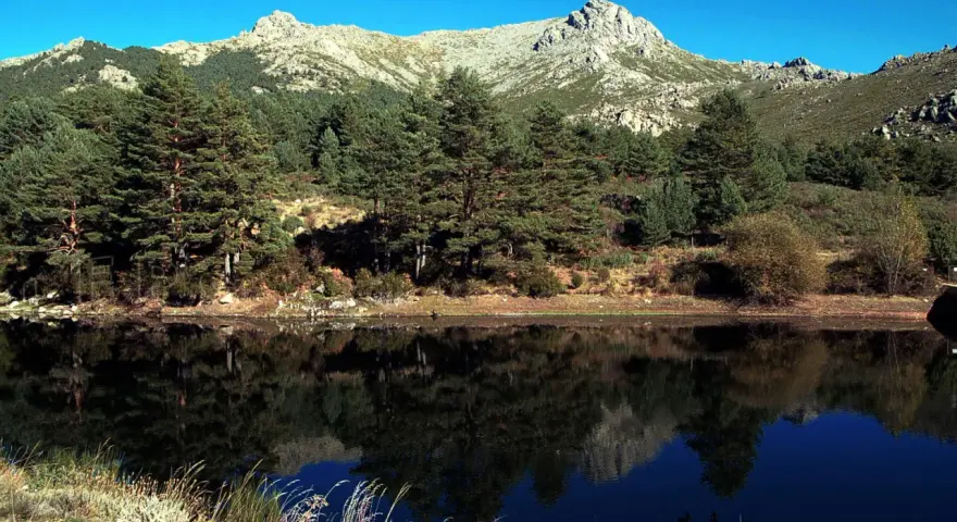 Reflejo perfecto de pinos y montañas en el lago, ideal para la barranca ruta circular.