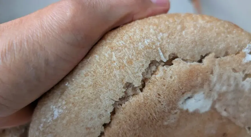 Eine Hand hält ein Brot, das Risse hat. Nächstes Mal gelingt das brot ohne risse backen bestimmt besser.