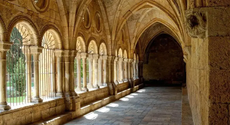Sunlight streams through arched cloisters, hinting at the diverse types of monasteries and their serene courtyards.
