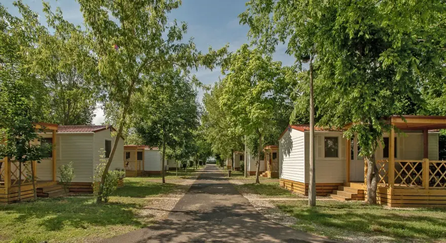 Alejka na hajdu camping, otoczona drzewami i białymi domkami z werandami.