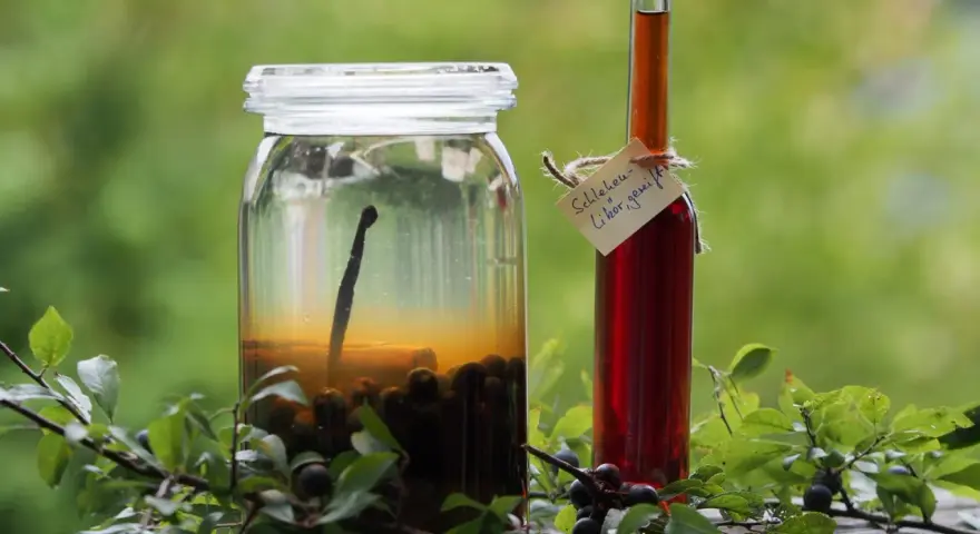 Ein Glas mit Schlehen und eine Flasche Schlehenlikör, bereit für Schlehen Rezepte.