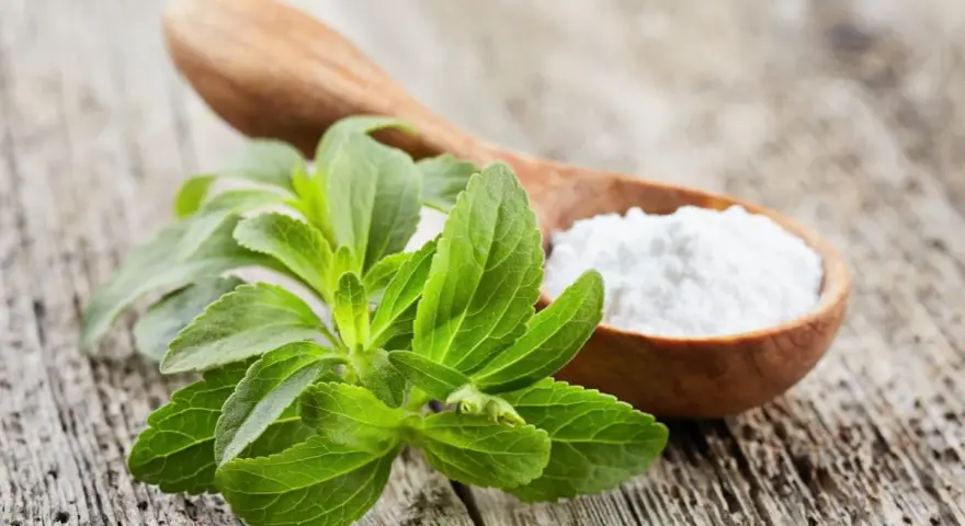 Gałązka świeżej stewii obok drewnianej łyżki z białym proszkiem. Stewia ma niski indeks glikemiczny, co czyni ją zdrowym zamiennikiem cukru.