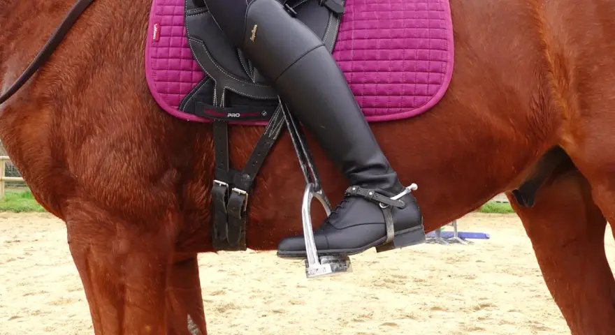 Jambes gainées sur un cheval bai, le pied dans l'étrier. Le cheval froid à la jambe semble prêt pour la leçon.