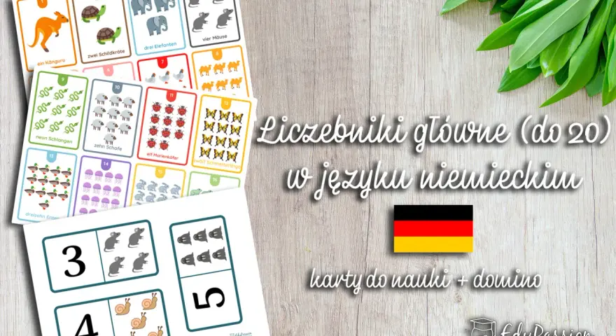 Liczebniki niemieckie bez tajemnic: opanuj zasady i wyjątki!