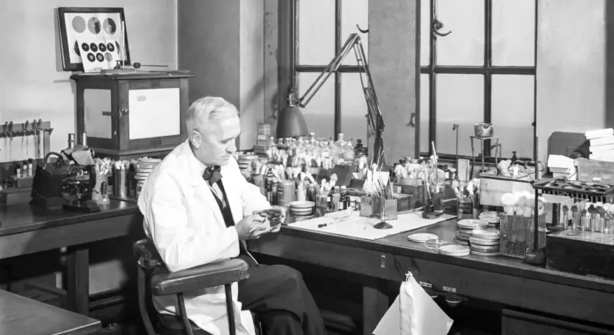 Un scientifique examine une boîte de Pétri, rappelant la découverte de la pénicilline, une avancée majeure dans l'histoire de la médecine, à l'image des travaux de Pasteur.