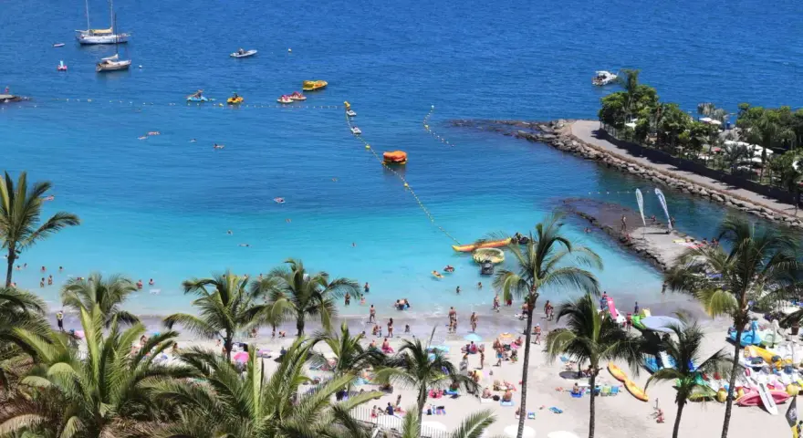 Słoneczne gran canaria plaże z palmami, turkusową wodą i ludźmi odpoczywającymi na piasku. Widać łodzie i sprzęt wodny.