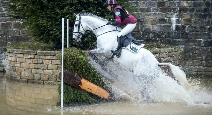 Cheval blanc sautant un obstacle d'eau lors d'un parcours de saut d'obstacle. L'eau éclabousse autour du cheval.
