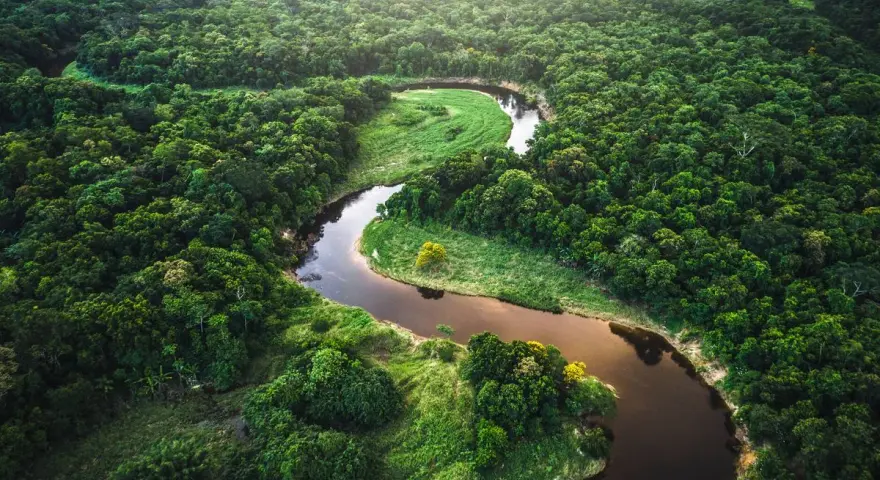 Un serpenteante río amazonas se abre paso entre la exuberante selva verde, un tapiz de vida salvaje y naturaleza virgen.