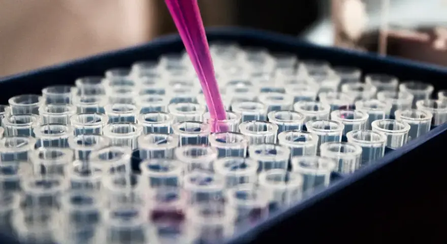 Różowa pipeta dodaje płyn do probówek w laboratorium. To kluczowy etap w badaniu histopatologicznym, który pozwala na analizę próbek.