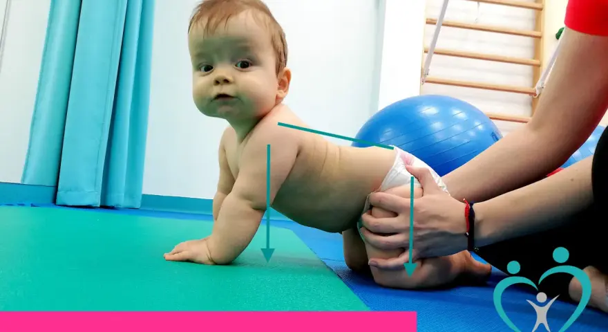 Niemowlę w pozycji czworaczej, z rękami opartymi na macie. Fizjoterapeuta delikatnie wspiera jego biodra.