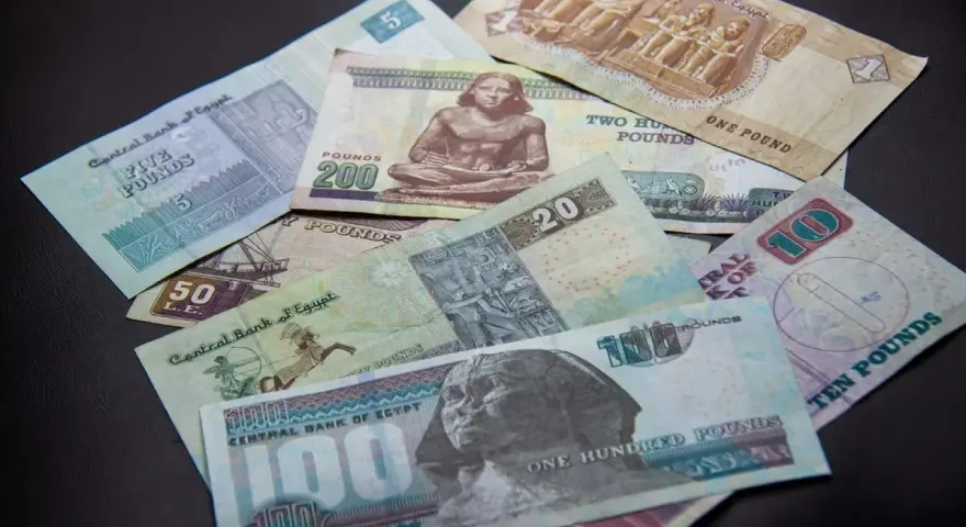 Egipskie funty, od 1 do 200, leżą na czarnym tle. Planujesz podróż i zastanawiasz się, jakie dolary do Egiptu? Lepiej zabrać funty!
