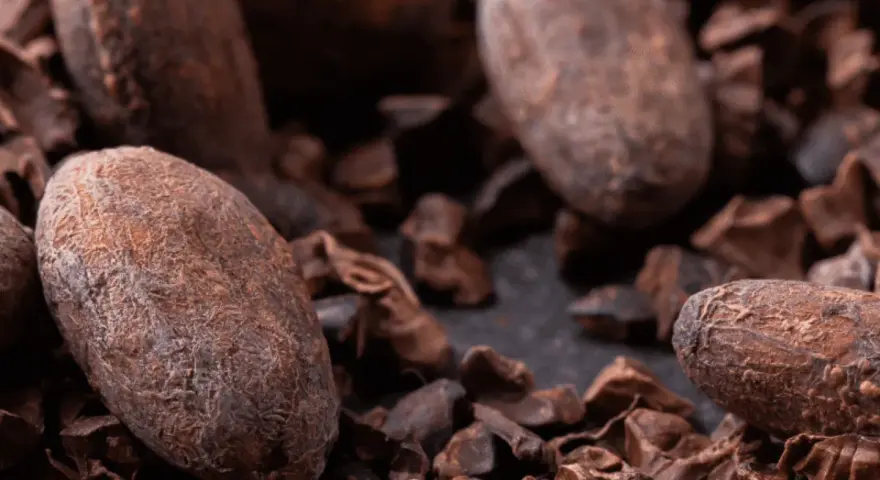 Gros plan sur des fèves de cacao et des éclats de cacao, rappelant les nombreux cacao bienfaits pour la santé.