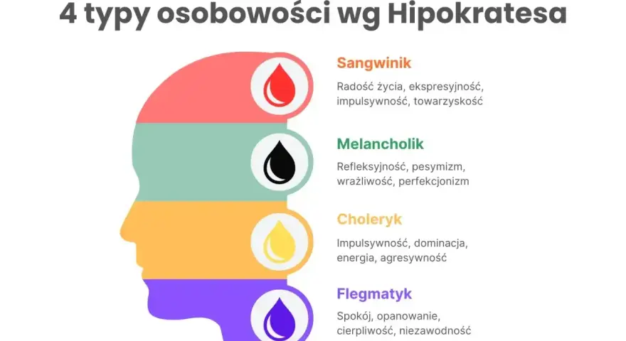Flegmatyk to osoba spokojna, opanowana, cierpliwa i niezawodna. Grafika przedstawia 4 typy osobowości wg Hipokratesa.