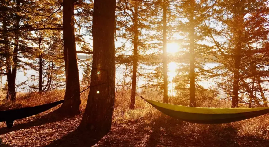 Sunlight streams through trees, illuminating two hammocks strung between them. A perfect spot to embrace how to live a simple life.