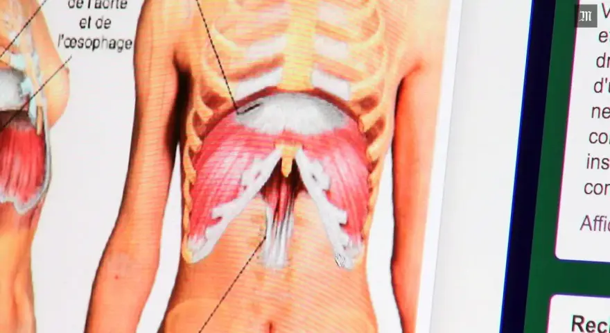 Anatomie du diaphragme, montrant les muscles et les structures adjacentes. Une douleur au diaphragme peut affecter la respiration.