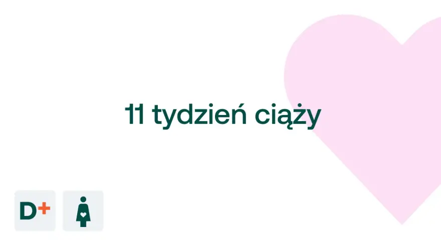 11 tydzień ciąży. D+ logo i symbol kobiety w ciąży na tle różowego serca.