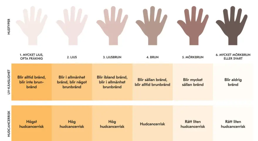 Diagram visar hudtyper och deras UV-känslighet. Vid vilket UV-index blir man brun beror på hudtyp, från ljus som bränns till mörk som blir brun.