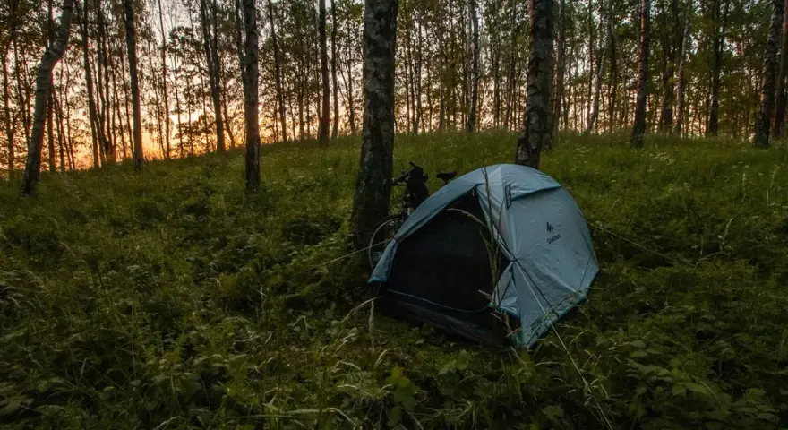 Namiot nad jeziorem, otoczony drzewami i trawą, czeka na noc. Zachód słońca maluje niebo na pomarańczowo.