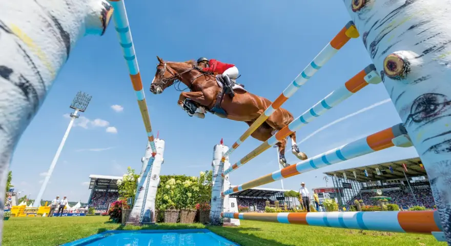 Un magnifique cheval de course brun saute par-dessus un obstacle coloré, sous un ciel bleu clair, lors d'une compétition équestre devant une foule attentive.