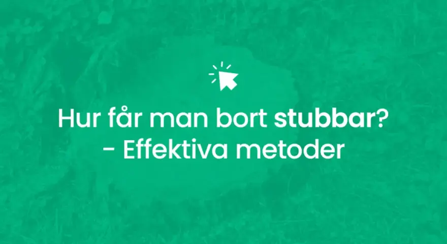 Hur får man bort stubbar? Effektiv metod för att ta bort stubbar.