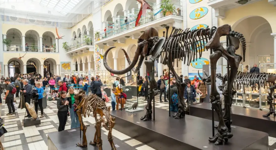 Muzeum Przyrodnicze w Warszawie to świetne miejsce, by dowiedzieć się, co zwiedzić w Warszawie z dziećmi. Szkielety mamutów i dinozaurów robią wrażenie!