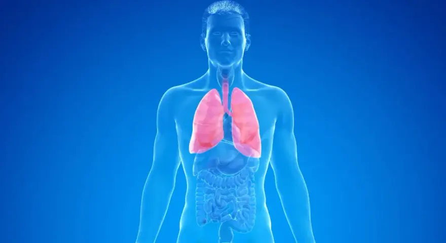 Menschlicher Torso mit roten Lungen, die auf COPD und die Notwendigkeit einer Pflegestufe hinweisen.
